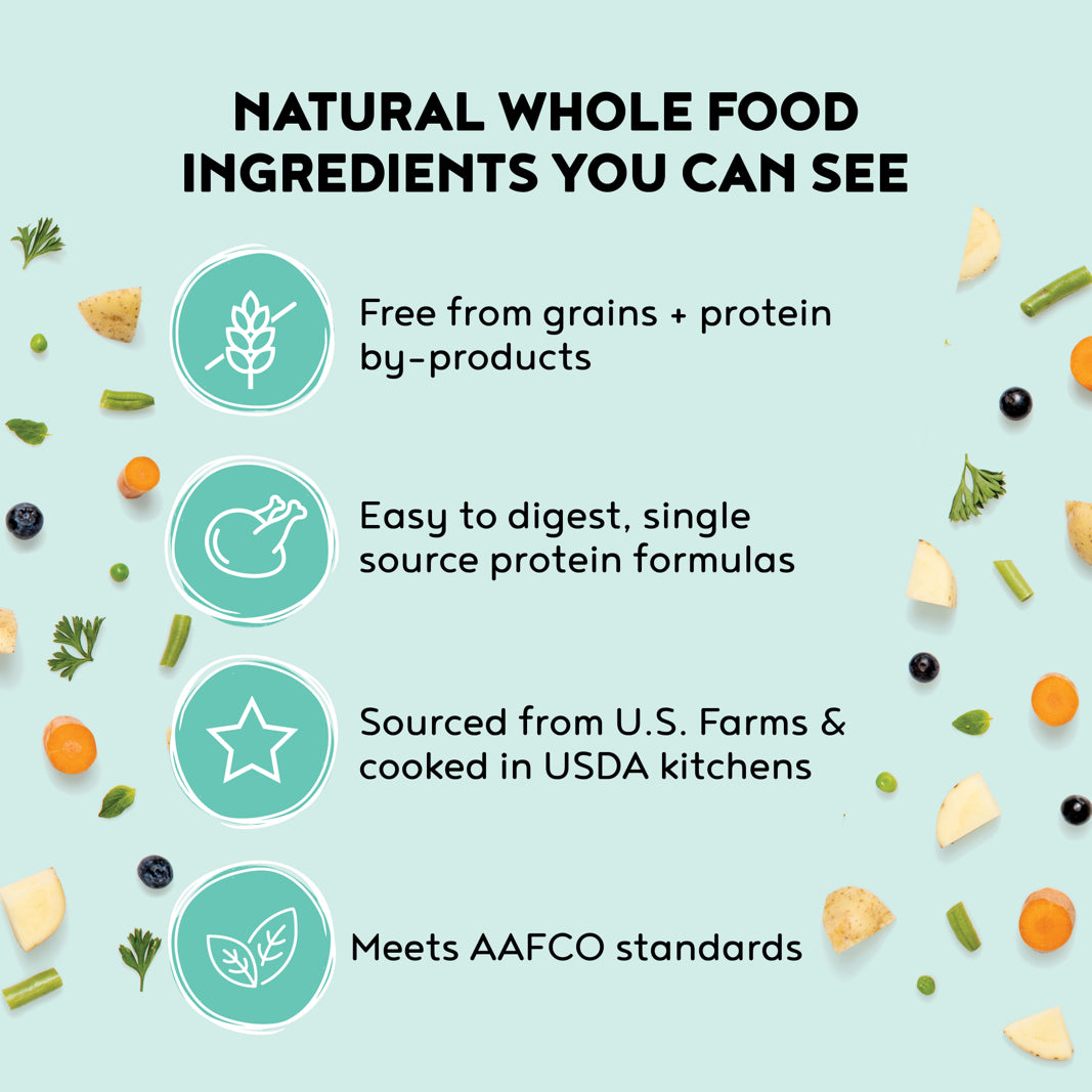 100% Human-Grade Dog Food