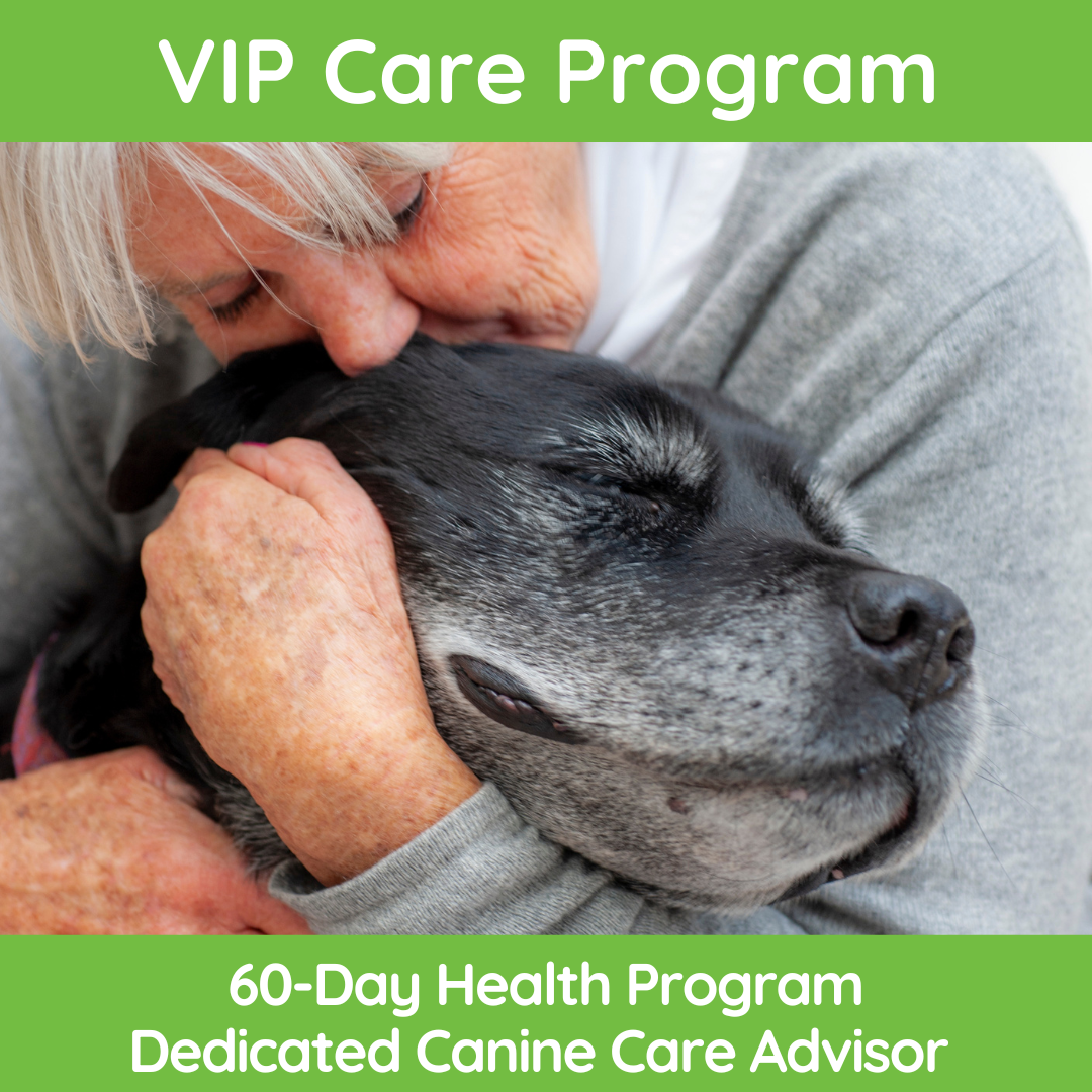 Happy Howl VIP Care 60-Day Onboarding Program
