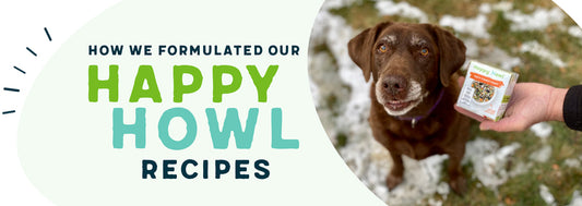 How we formulated our Happy Howl dog food recipes