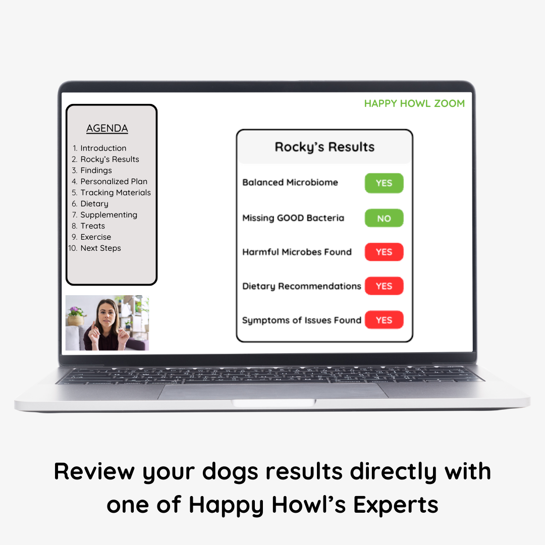 COMING SOON: HAPPYbiome Test Kit